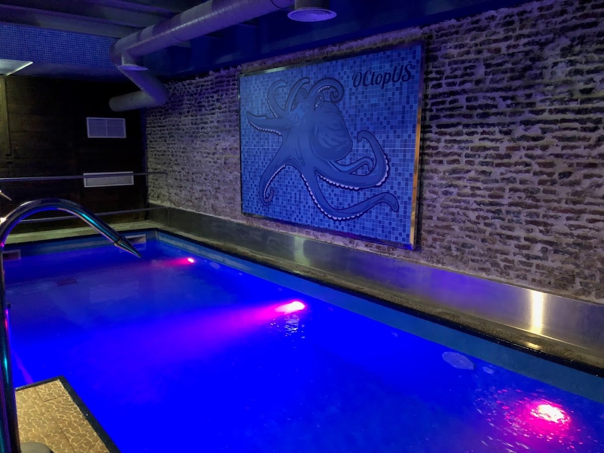 Sauna Octopus
