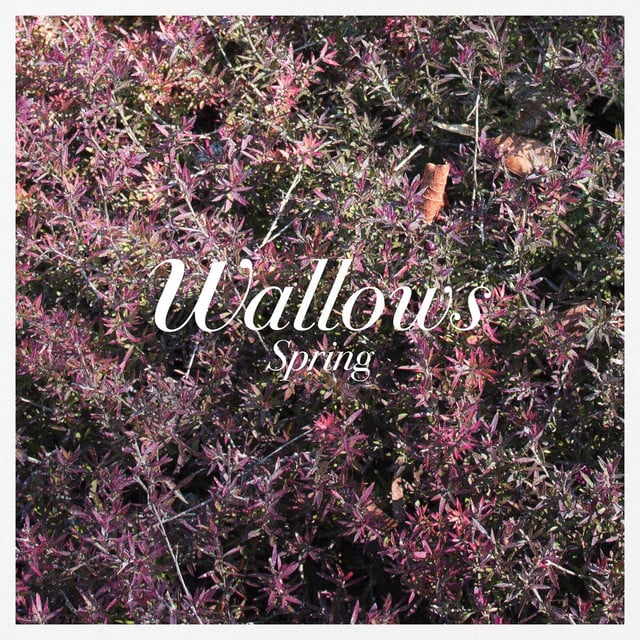 It's Only Right - Song · Wallows