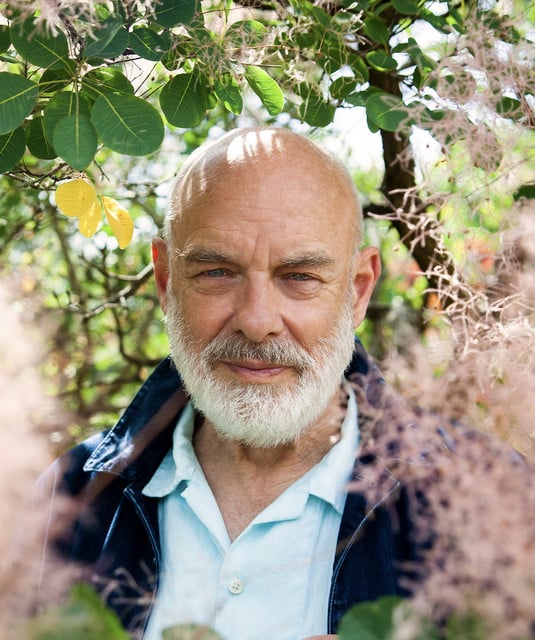 Brian Eno - Artist