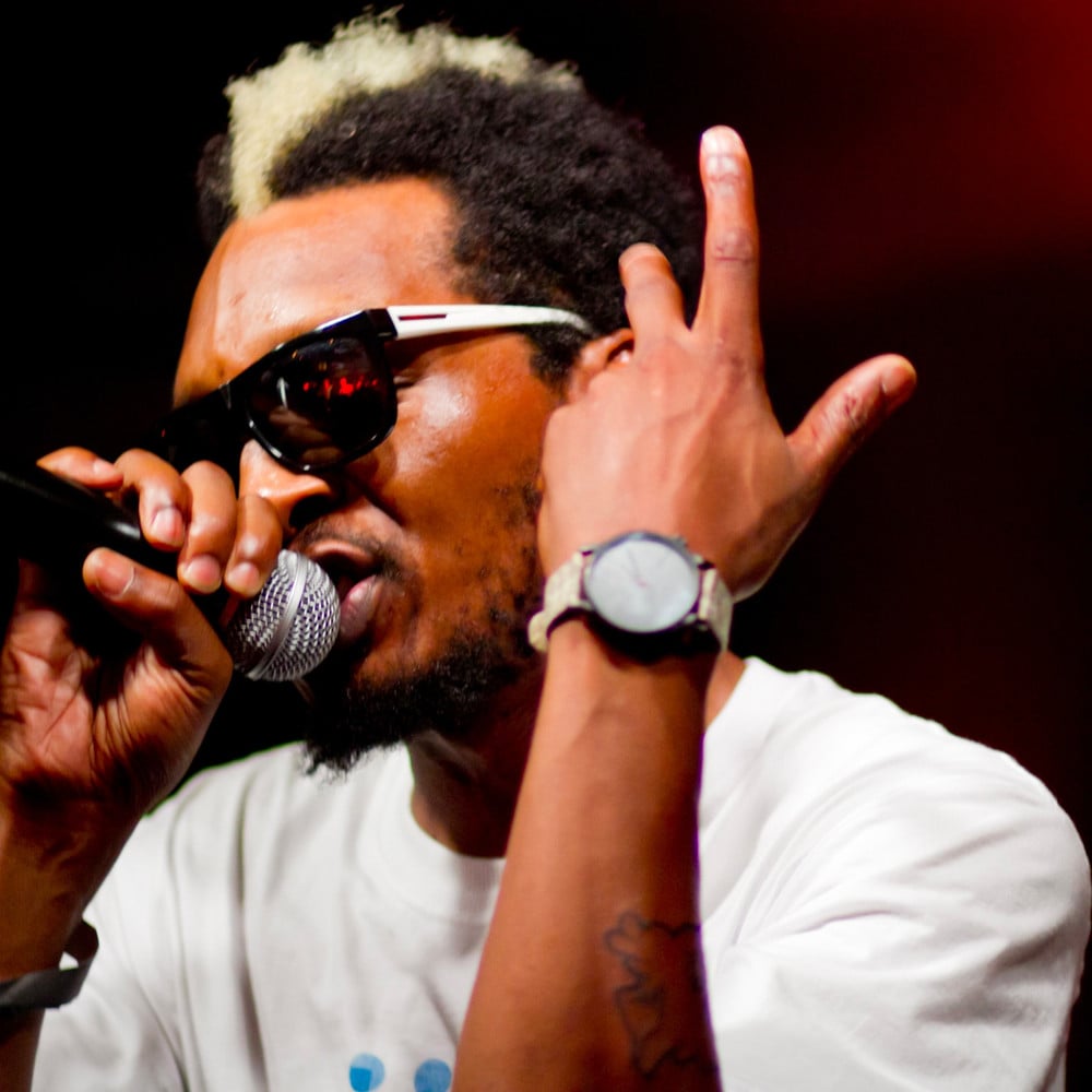 Del The Funky Homosapien - Artist