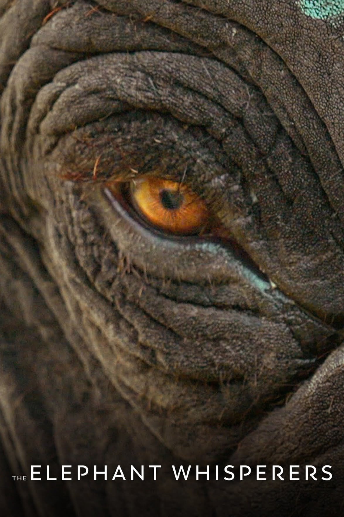The Elephant Whisperers - Kartiki Gonsalves · 2022