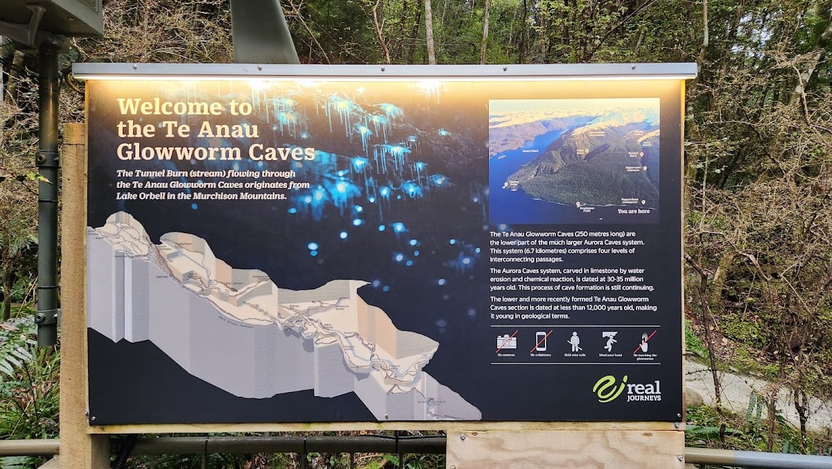 Glow Worm Caves