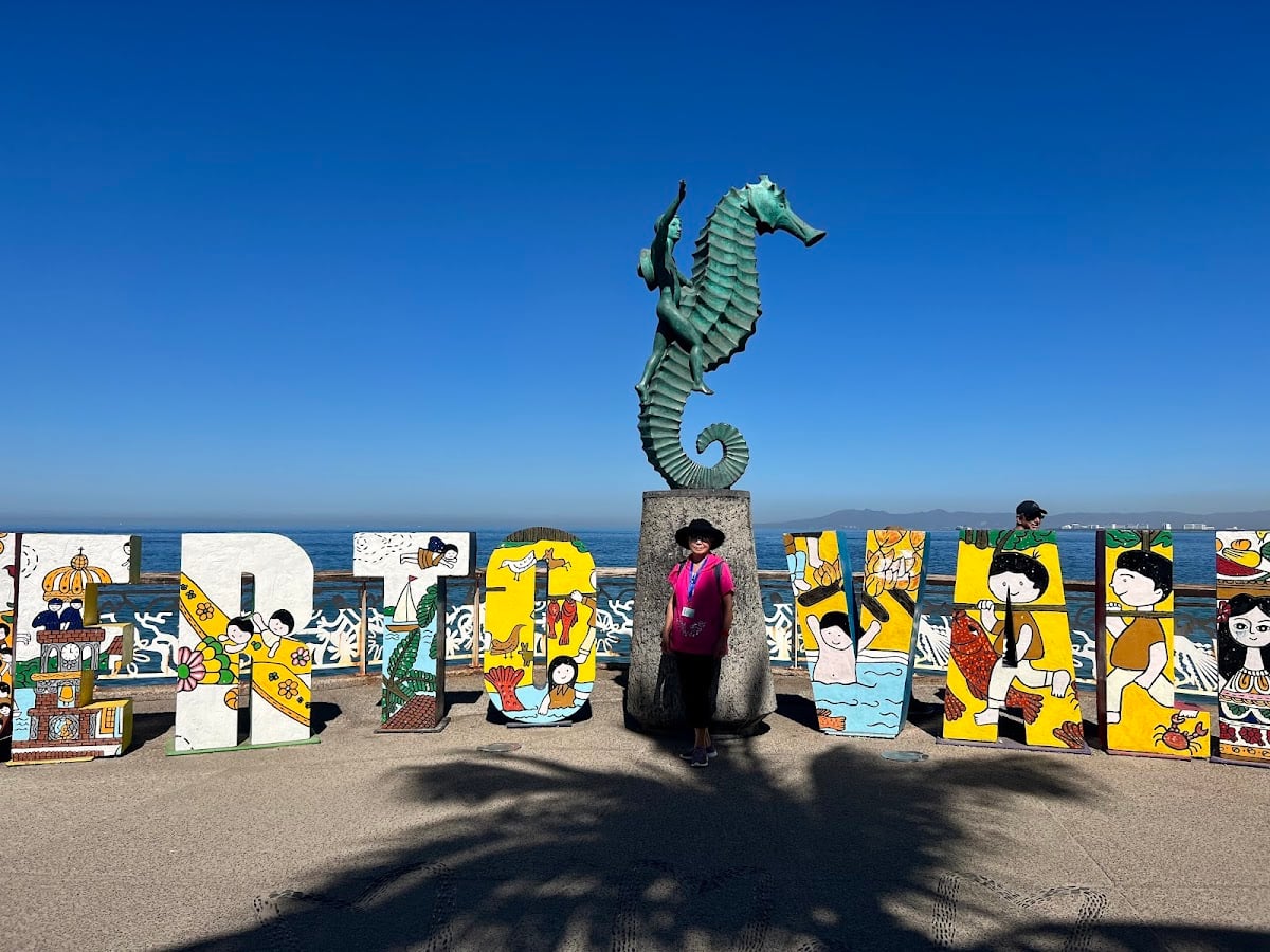 The Boy on the Seahorse
