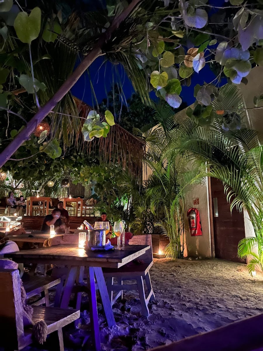 Confessions | DJ Sessions & Bar in Tulum