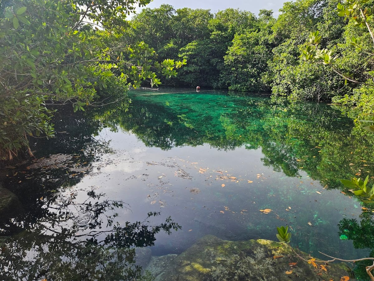 Cenote Manati