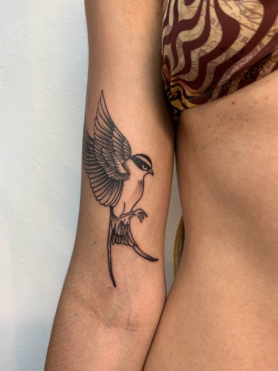 CLAVEM TATTOO