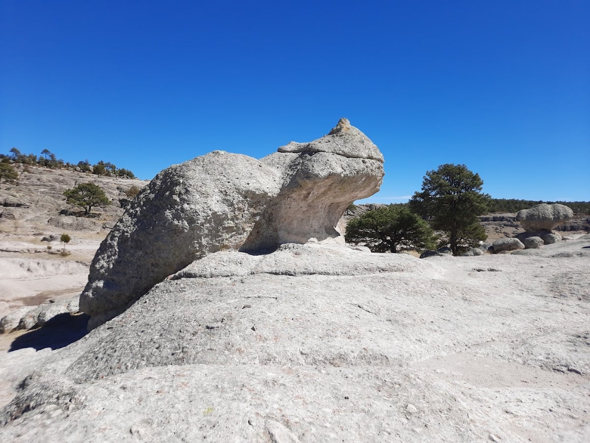 Valle de las Ranas