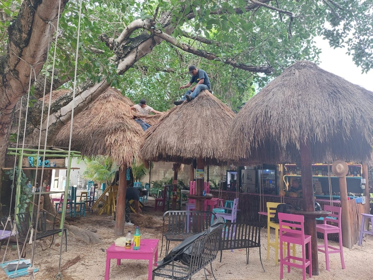 Mowwii's Bar