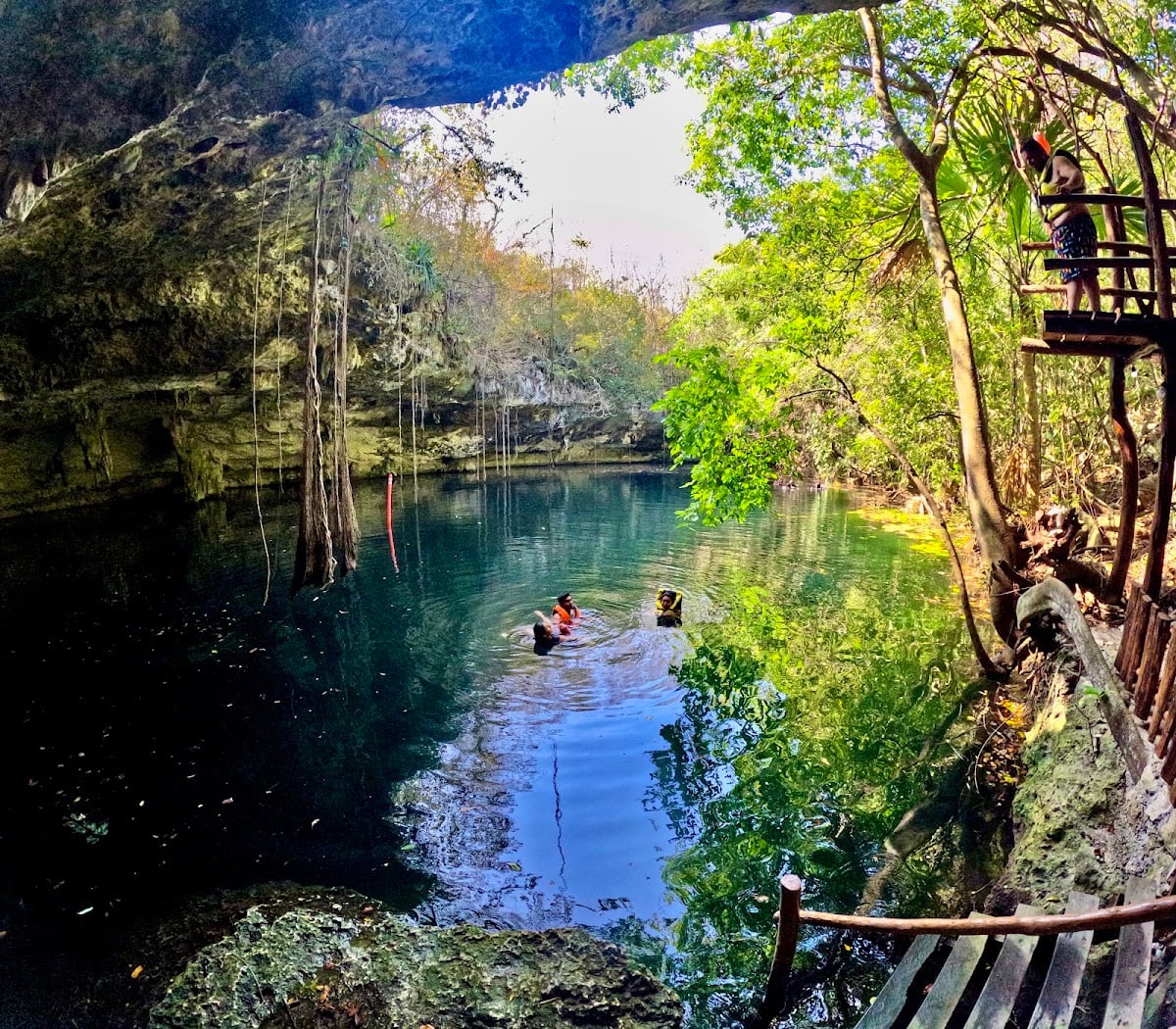 Orquidea Cenote