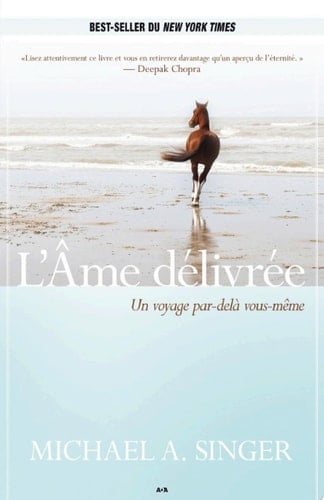 L’Âme délivrée Un voyage par-delà vous-même - Michael A. Singer · 2013