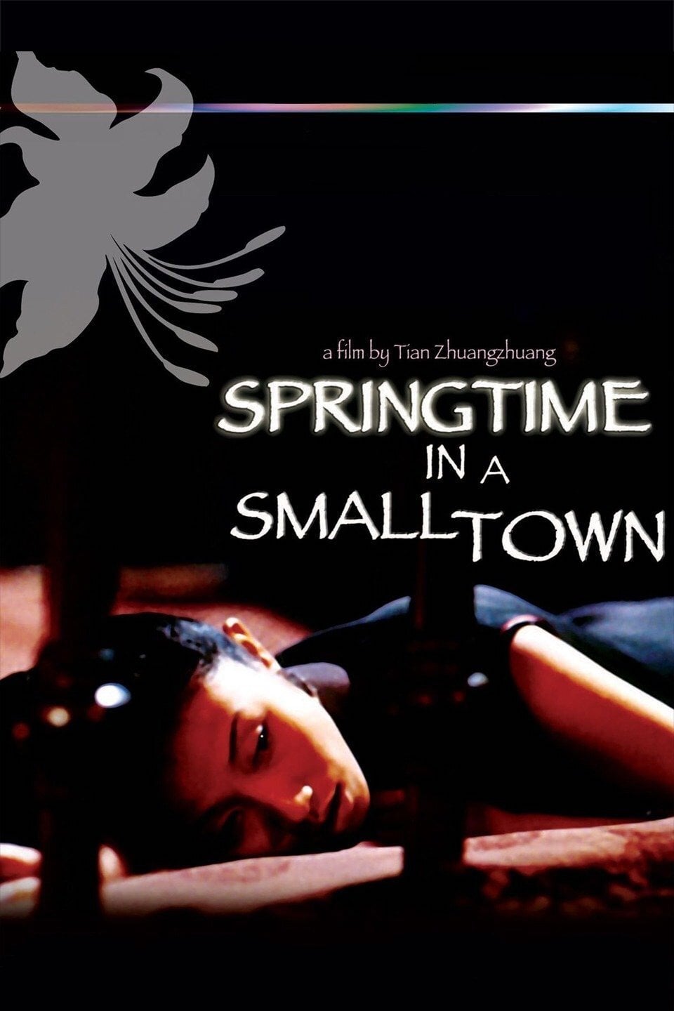 Springtime in a Small Town - Tian Zhuangzhuang · 2002