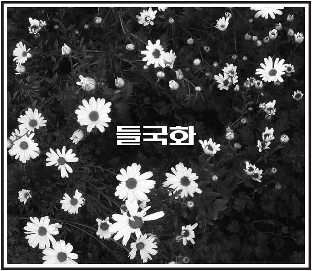 Deul Guk Hwa - Artist
