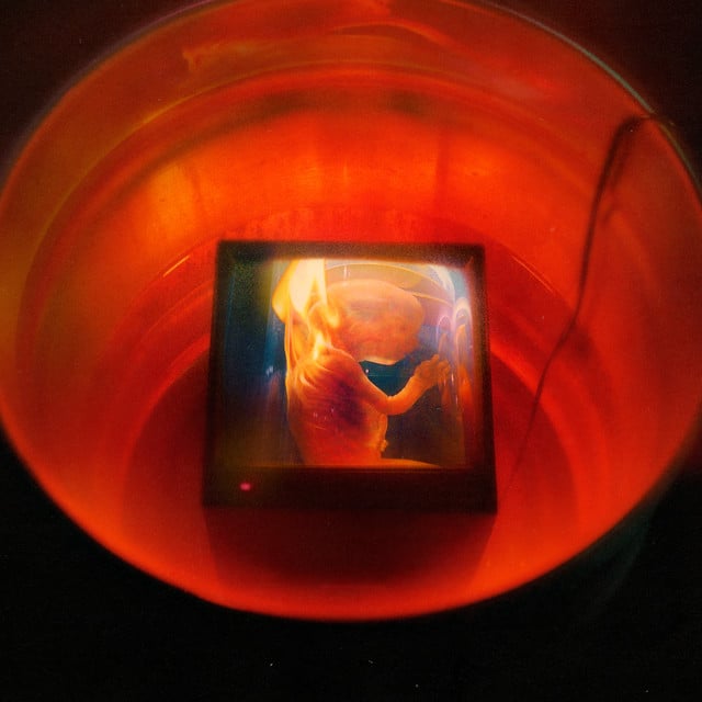 Evian (feat. PinkPantheress, Rizloski & Rax) - Song Β· GoldLink, PinkPantheress, Rizloski, Rax
