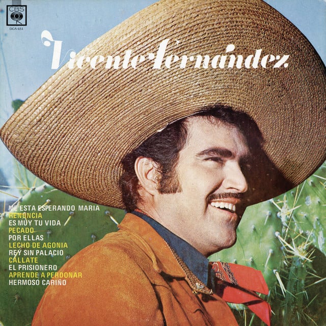 Hermoso Cariño - Song · Vicente Fernández