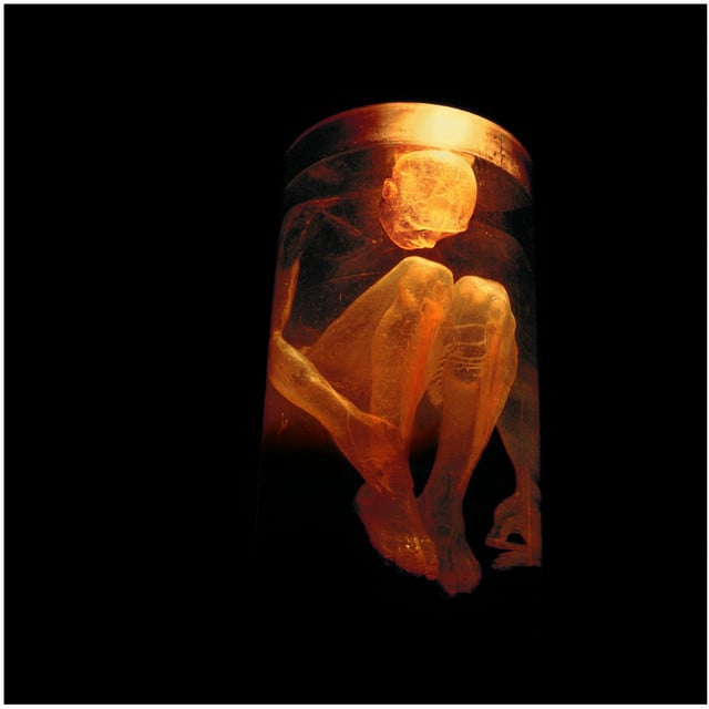 Nothing Safe - The Best Of The Box - Album · Alice In Chains