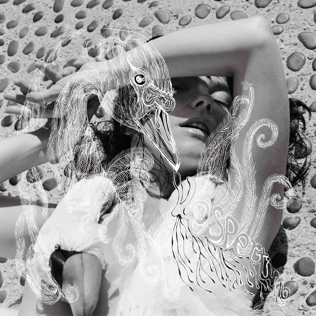 Vespertine - Album · Björk