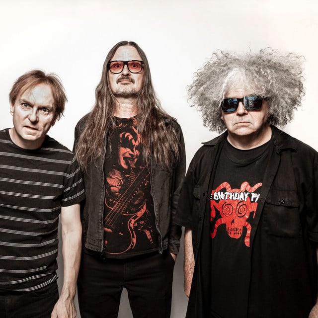 Melvins - Artist