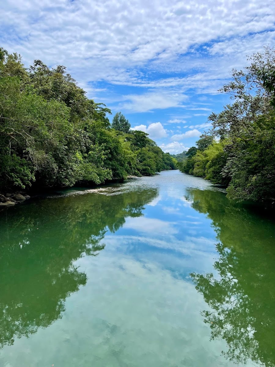 Río La Miel