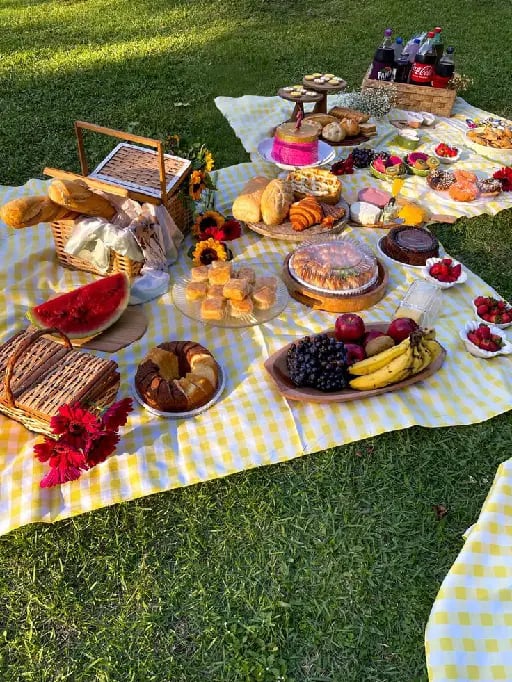 Picnic