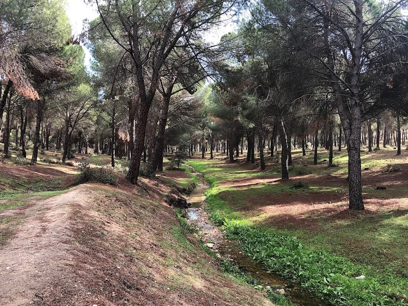 El Pinar de Navalcarnero - Hiking Area · Community of Madrid