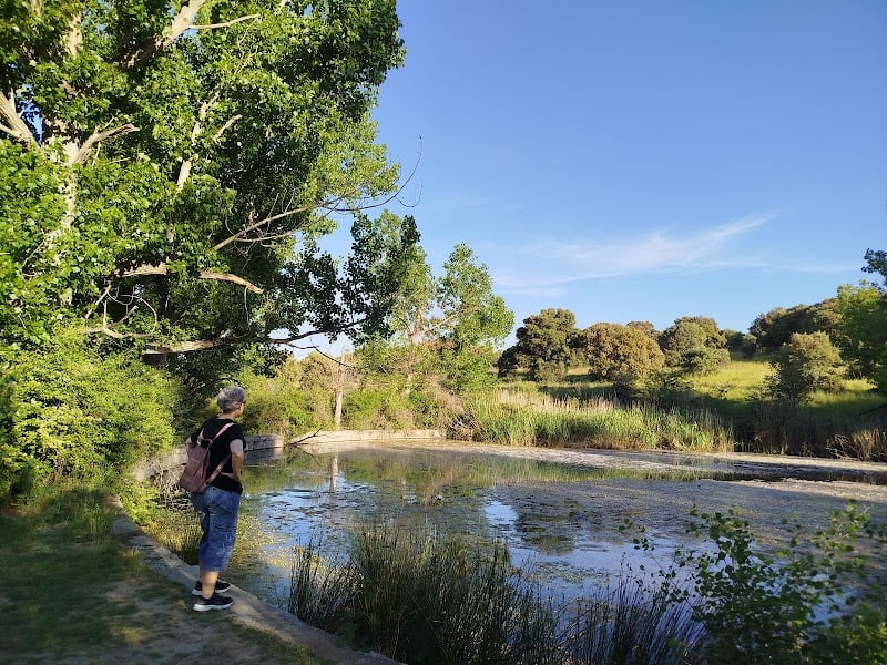 Arroyo del Bosquillon - Hiking Area · Comunidad de Madrid