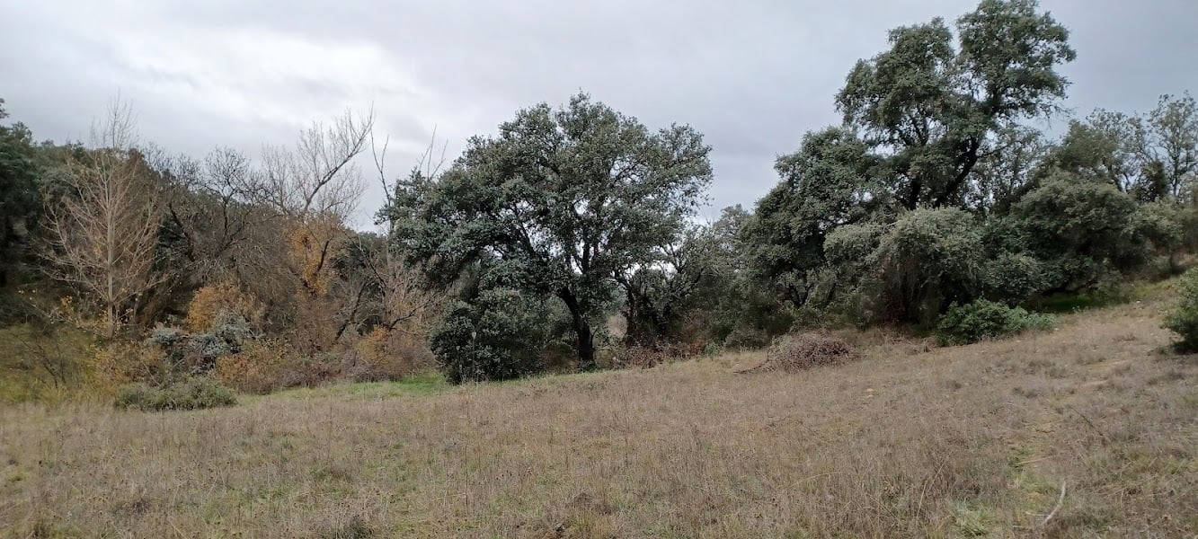 Campo de las matas - Hiking Area · Community of Madrid, Las Rozas de Madrid