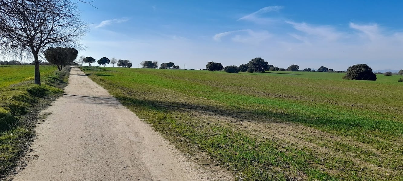 Forestal Río Guadarrama Park - Park · Comunidad de Madrid, Sevilla la Nueva