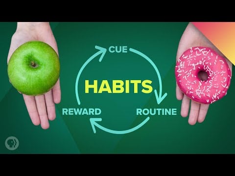 How Habits Can Change Your Life (and Your Brain) - Be Smart