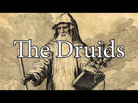 The Druids - The Histocrat