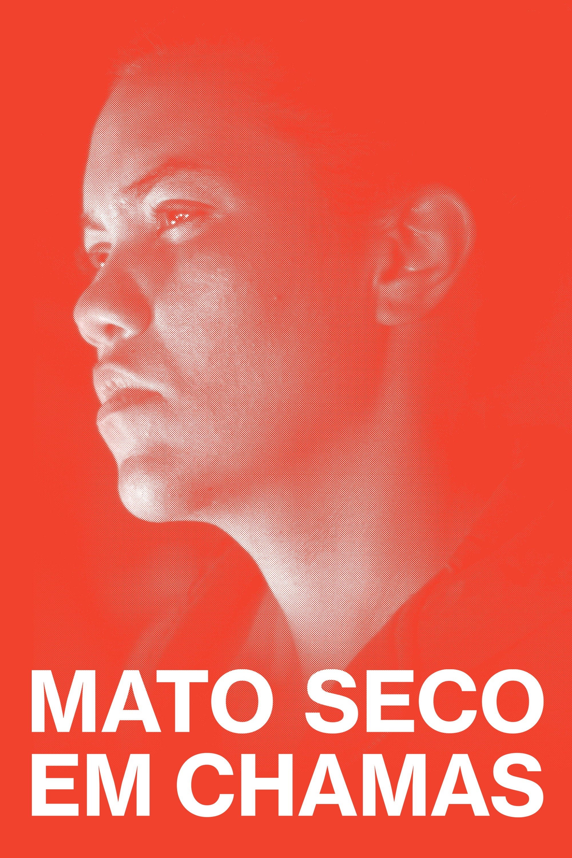 Mato Seco em Chamas - Adirley Queirós · 2023