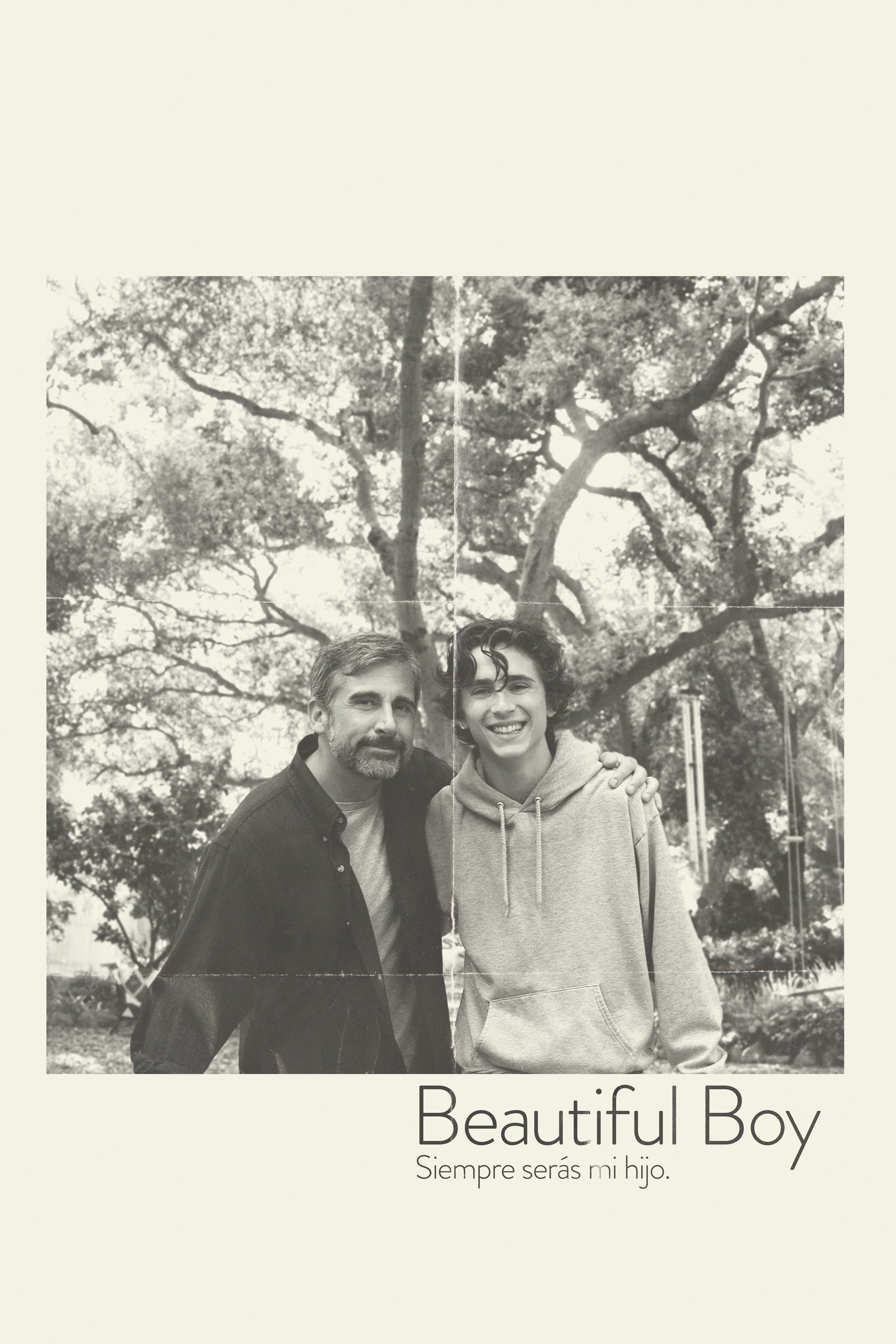 Beautiful Boy - Felix van Groeningen · 2018