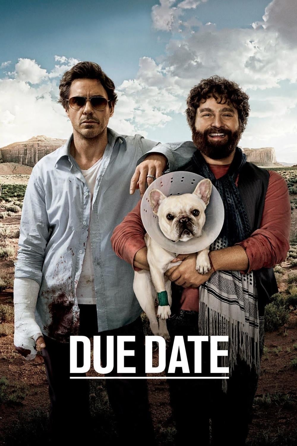 Due Date - Todd Phillips · 2010