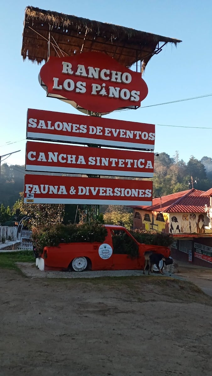 Campo Los Pinos