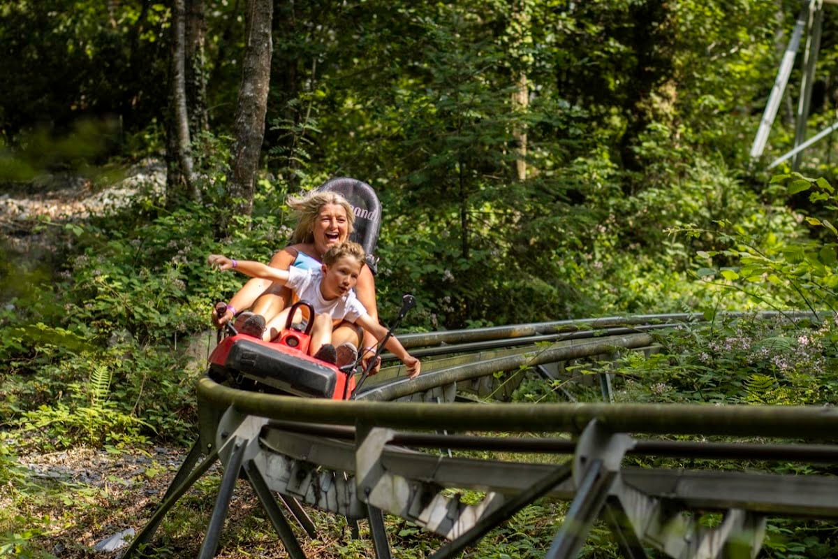 Zip World Betws-y-Coed - UKs only alpine rollercoaster