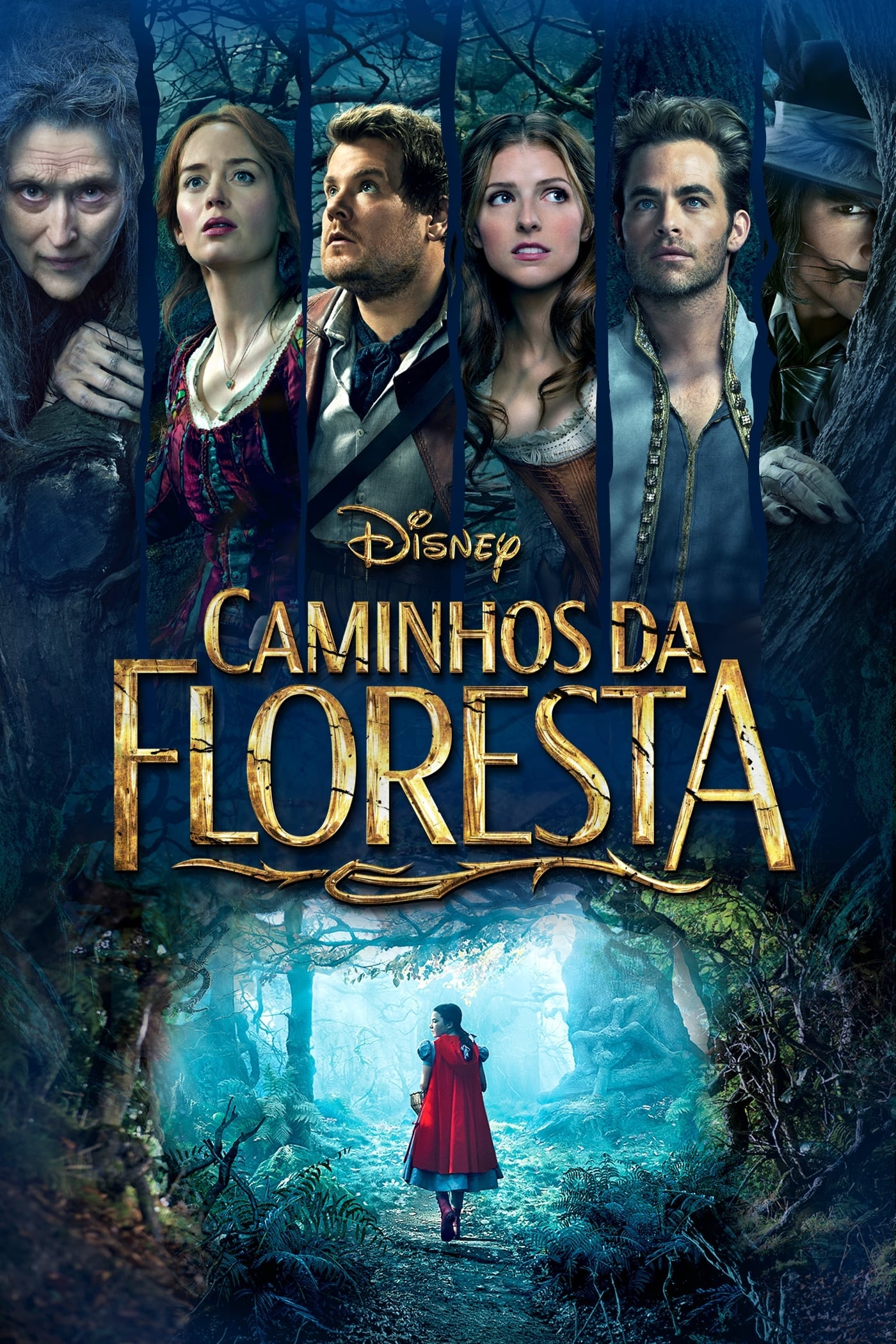Into the Woods - Rob Marshall · 2014