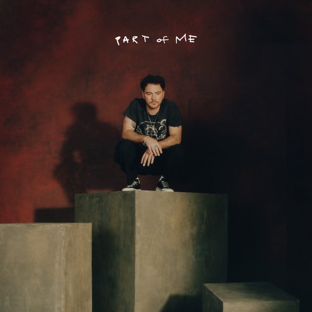 Part Of Me - Song · Cian Ducrot