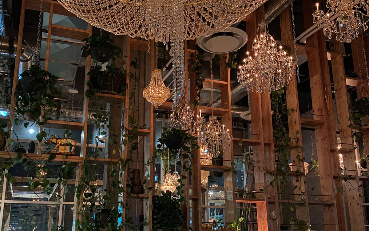 Orchard Restaurant - Fancy dining