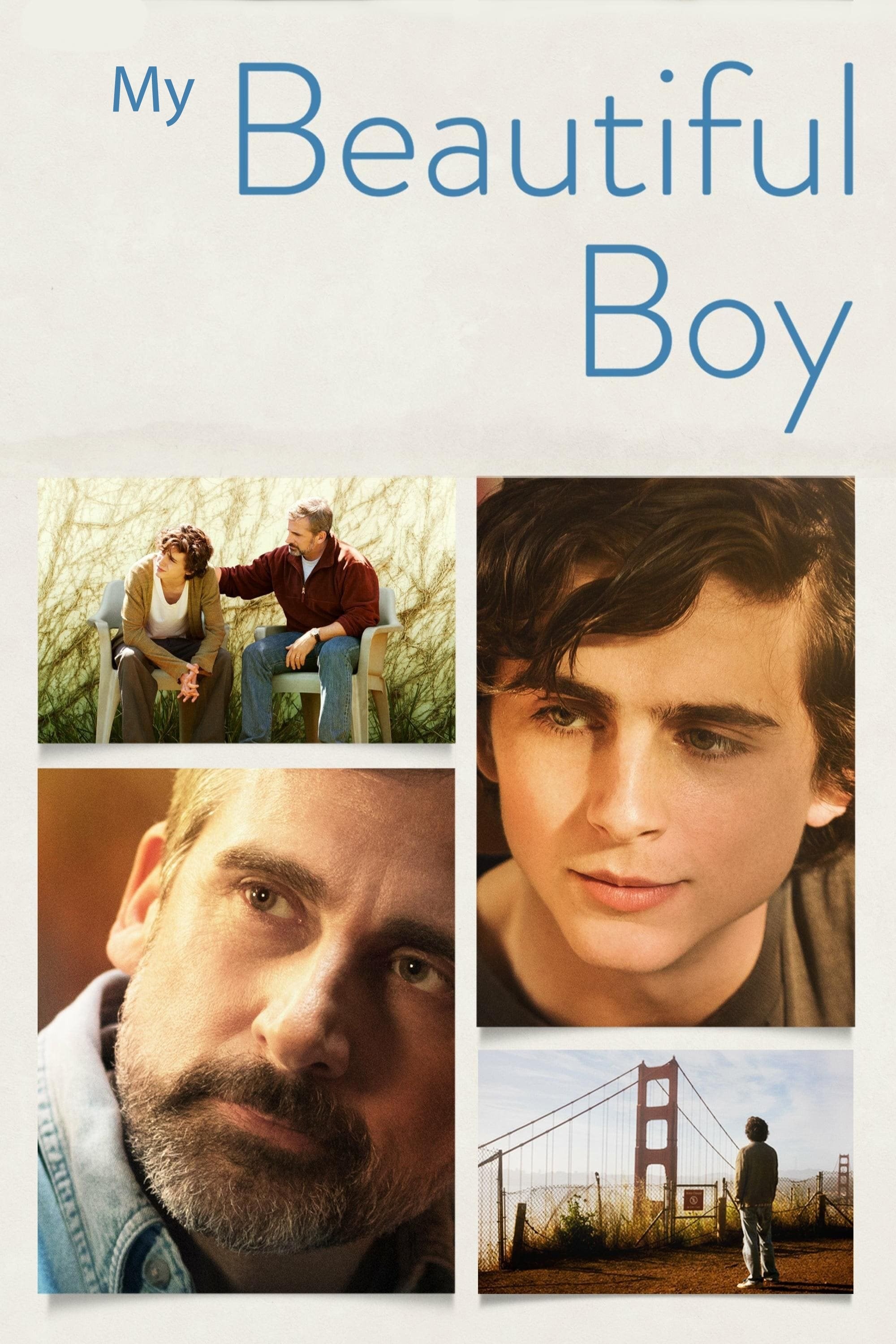Beautiful Boy - Felix van Groeningen · 2018