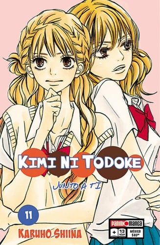 KIMI NI TODOKE - unknown author