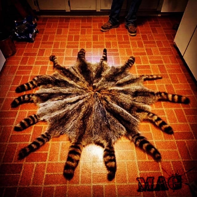 Blow Me - Song · fakemink