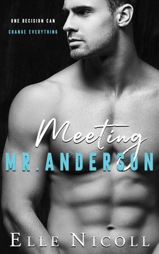 Meeting Mr Anderson - Elle Nicoll · 2021