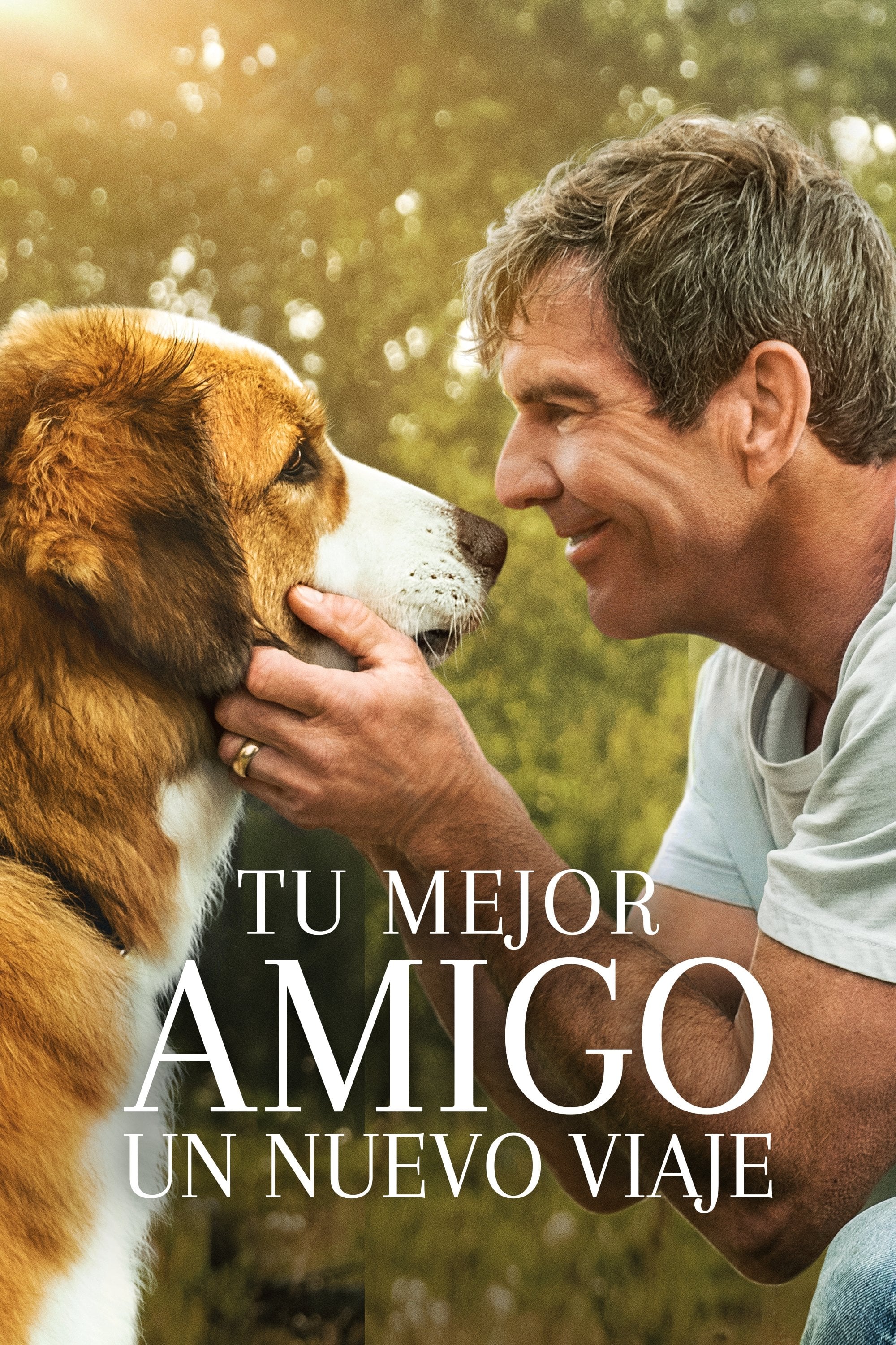 Tu mejor amigo: Un nuevo viaje - Gail Mancuso · 2019