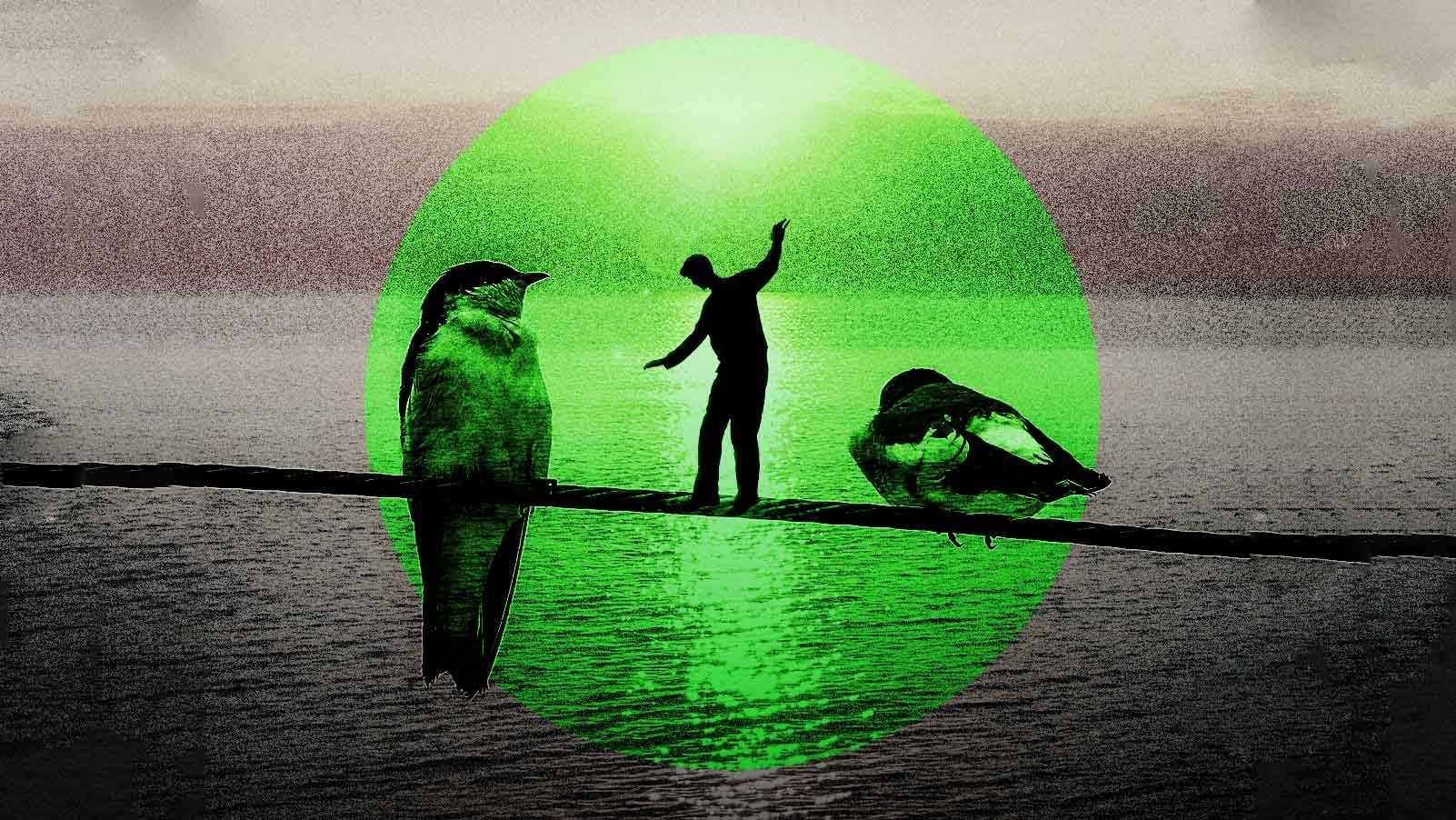Esperança não é a mesma coisa que otimismo. Você pode ter uma sem a outra | Fast Company Brasil