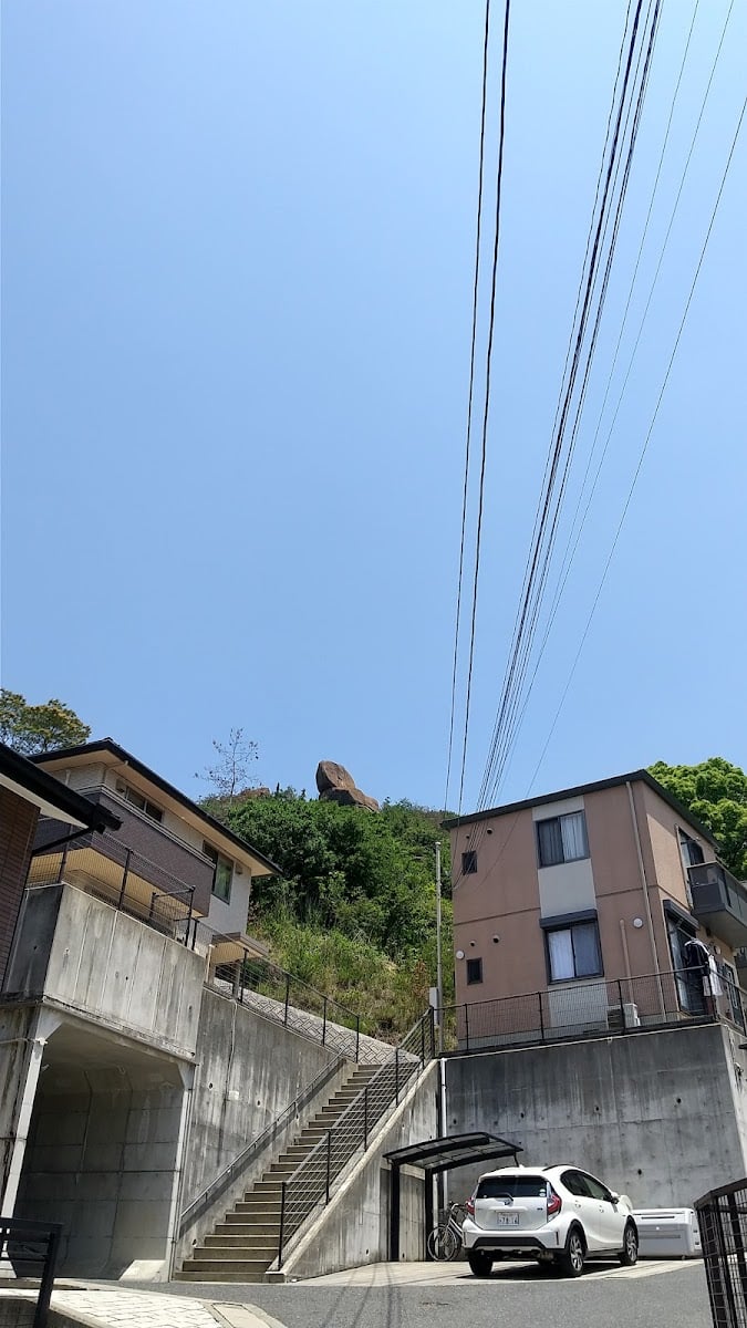 Tamano