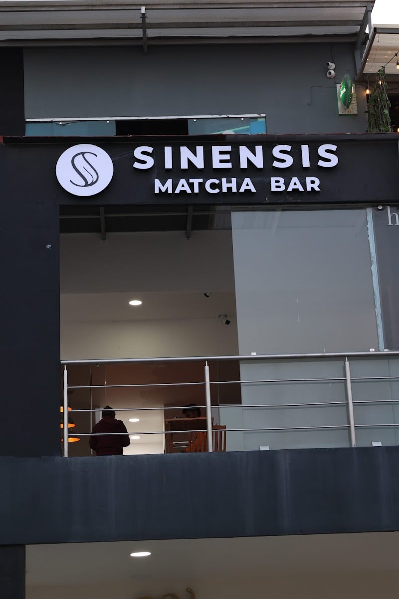 SINENSIS PACHUCA