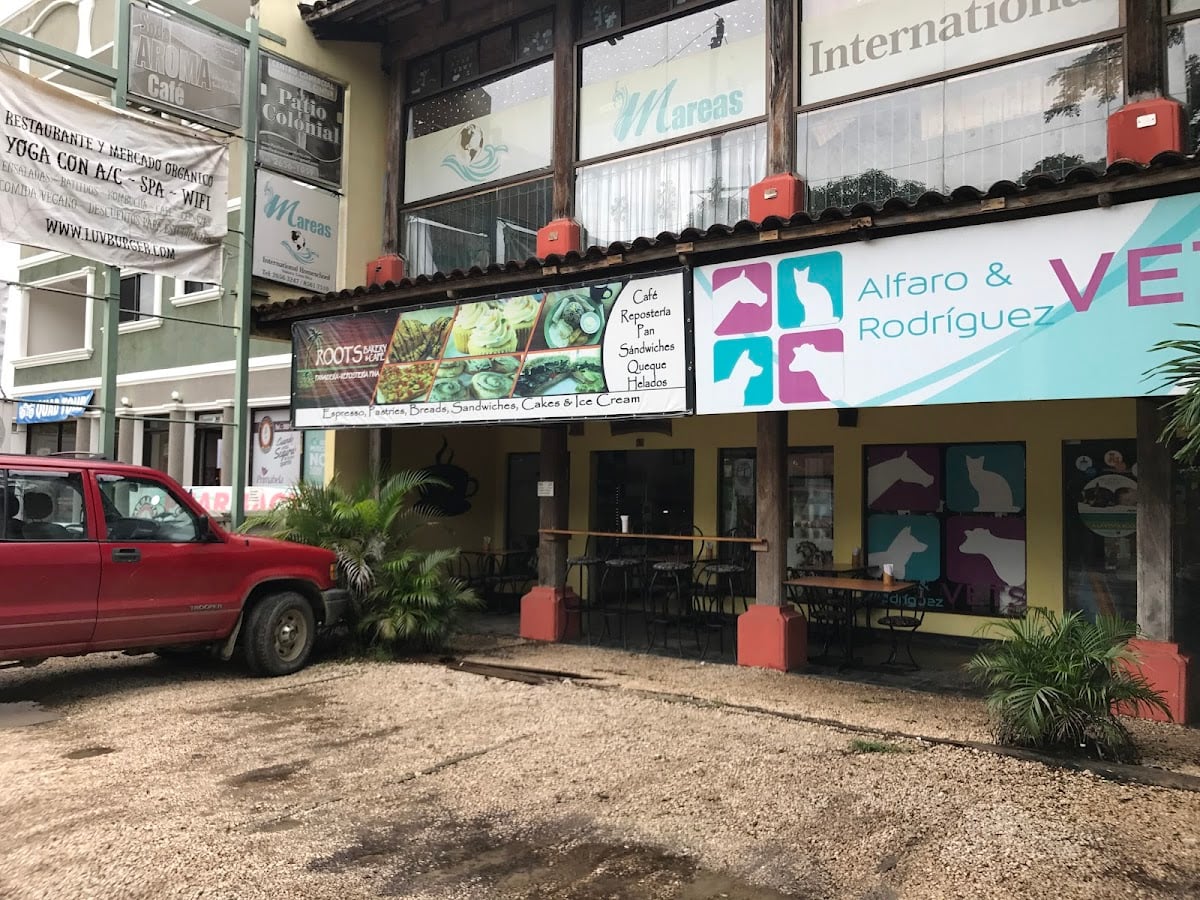 Roots Bakery & Café