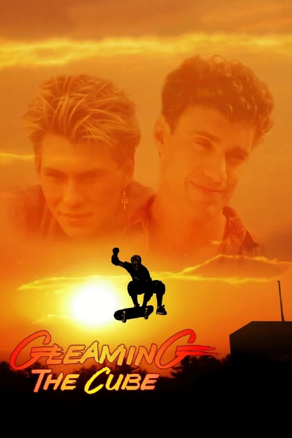 Gleaming the Cube - Graeme Clifford · 1989