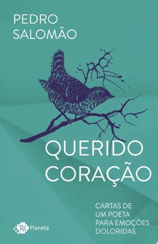 Querido coração Cartas de um poeta para emoções doloridas - Pedro Salomão · 2022
