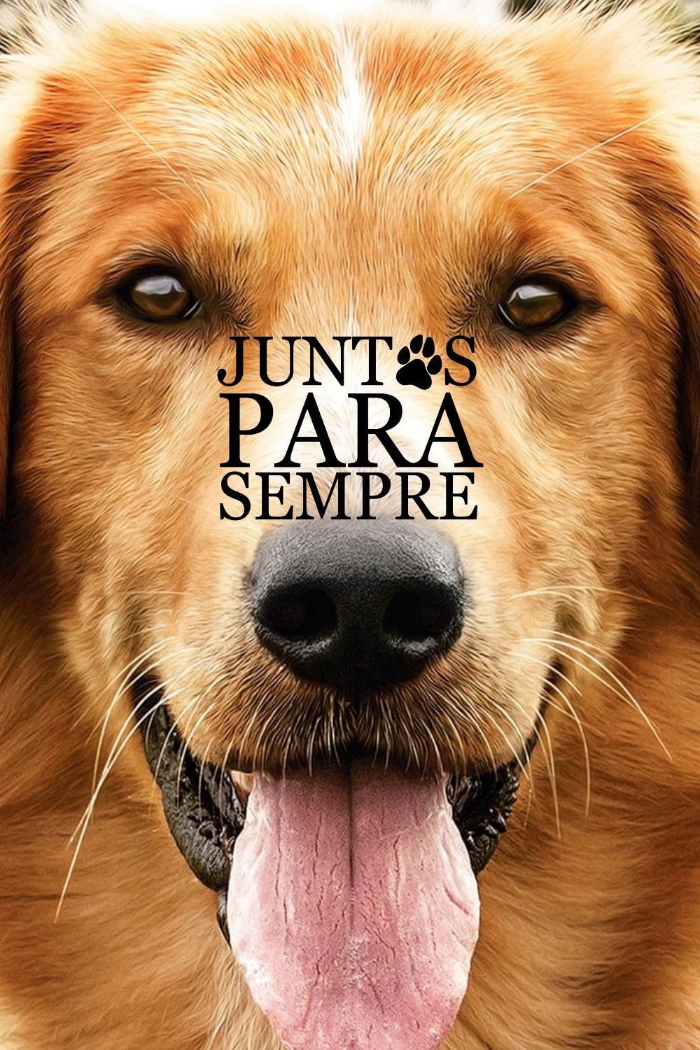 Quatro Vidas de um Cachorro - Lasse Hallström · 2017