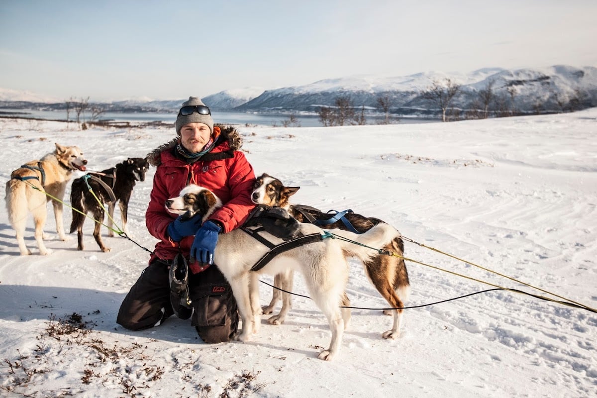 Arctic Adventure Tours